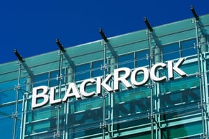 SellerX: Schuldenabbau und neue Eigentümerstrukturen – Blackrock übernimmt Anteile
